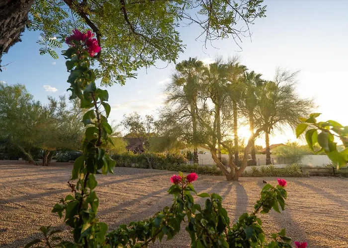 Mountain Views - Pool - Games - Yogadeck Cave Creek